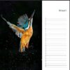 Verjaardagskalender - IJsvogel - Afbeelding 4