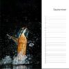 Verjaardagskalender - IJsvogel - Afbeelding 10