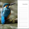 Verjaardagskalender - IJsvogel - Afbeelding 12