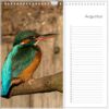 Verjaardagskalender - IJsvogel - Afbeelding 9