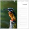Verjaardagskalender - IJsvogel - Afbeelding 13