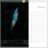 Verjaardagskalender - IJsvogel - Afbeelding 3