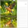 Verjaardagskalender - IJsvogel - Afbeelding 8