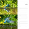 Verjaardagskalender - IJsvogel - Afbeelding 7
