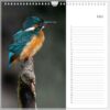 Verjaardagskalender - IJsvogel - Afbeelding 6