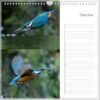 Verjaardagskalender - IJsvogel - Afbeelding 11