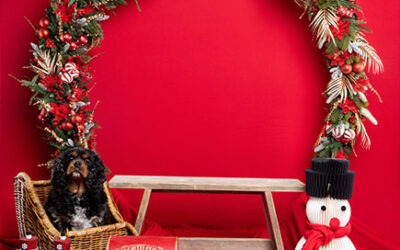 Kerstfotoshoot met je huisdier