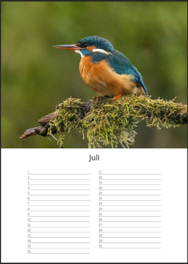 Verjaardagskalender A4 - IJsvogels - Afbeelding 8