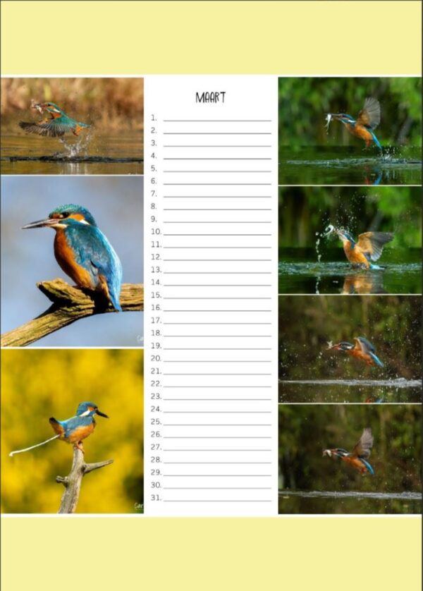 Verjaardagskalender - IJsvogel A4 - Afbeelding 4