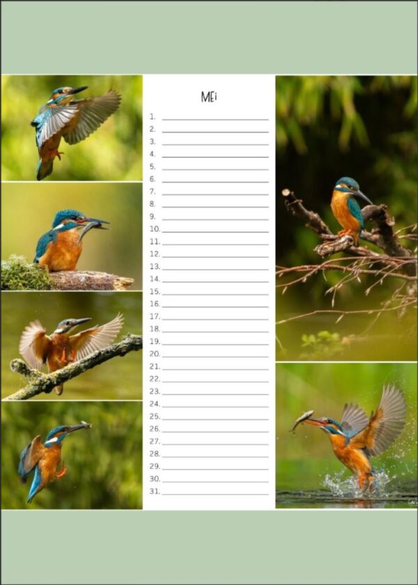 Verjaardagskalender - IJsvogel A4 - Afbeelding 6