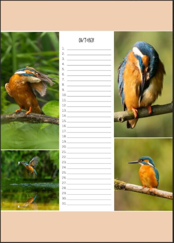 Verjaardagskalender - IJsvogel A4 - Afbeelding 12