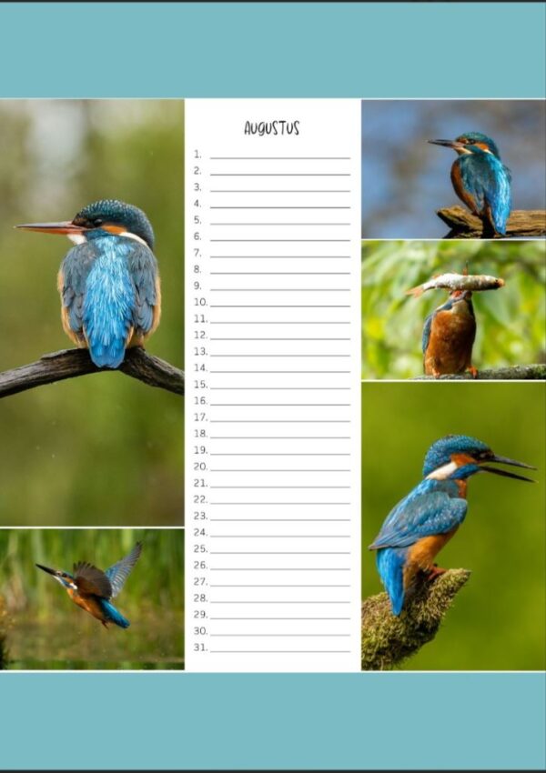 Verjaardagskalender - IJsvogel A4 - Afbeelding 9