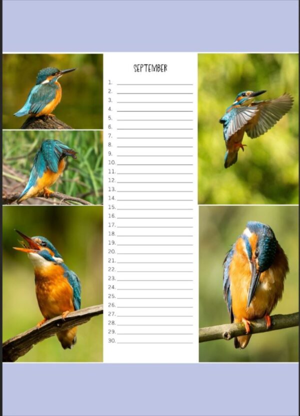 Verjaardagskalender - IJsvogel A4 - Afbeelding 10