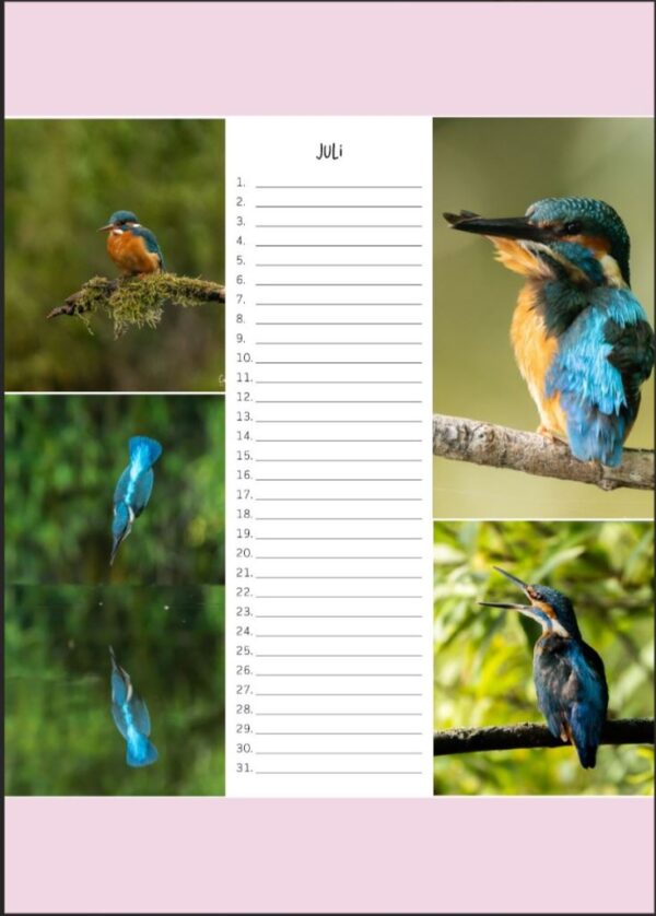Verjaardagskalender - IJsvogel A4 - Afbeelding 8