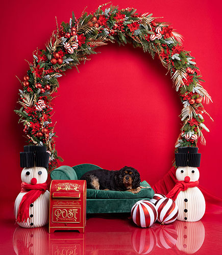 Kerstfotoshoot in Drenthe