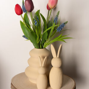 3d Complete Paasset 'Blue'