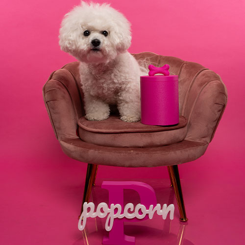 Hondenkoektrommel (Hoog) - Afbeelding 7