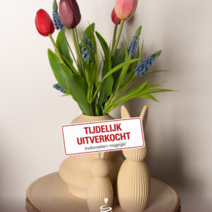 3d Complete Paasset 'Blue'