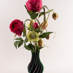 3d Vaas Josefien RED