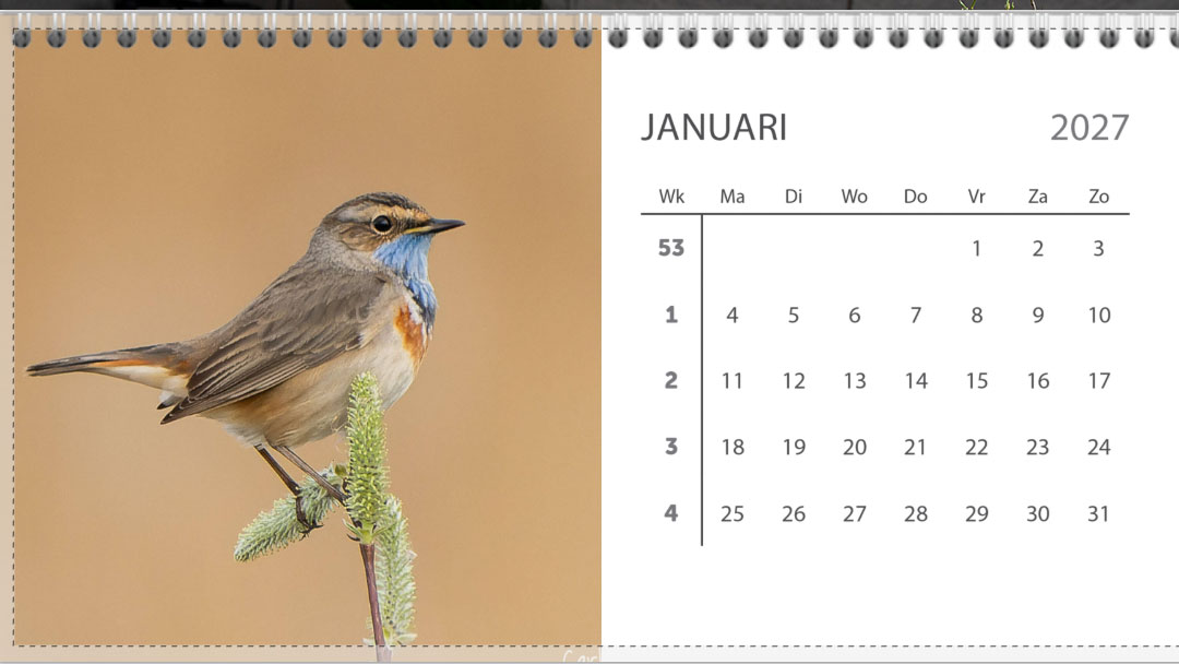 Bureau jaarkalender 2027 - Afbeelding 2