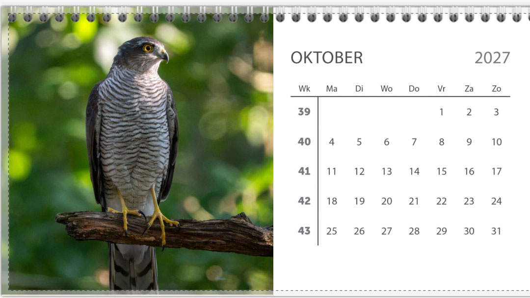 Bureau jaarkalender 2027 - Afbeelding 11