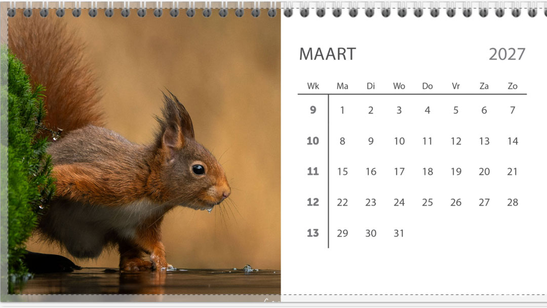 Bureau jaarkalender 2027 - Afbeelding 4
