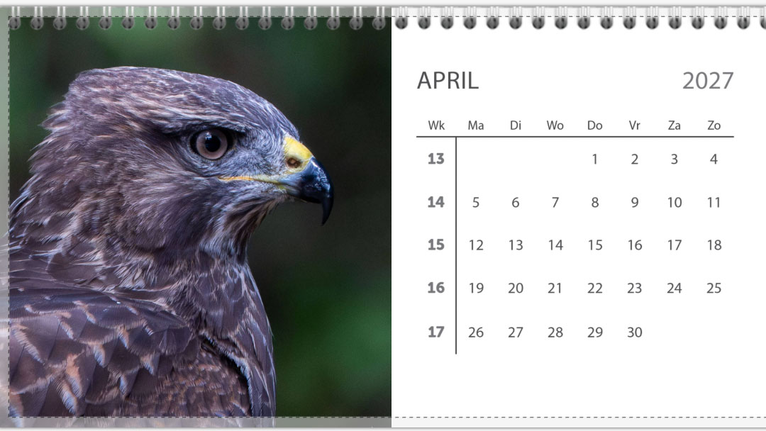 Bureau jaarkalender 2027 - Afbeelding 5