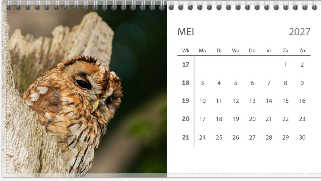 Bureau jaarkalender 2027 - Afbeelding 6