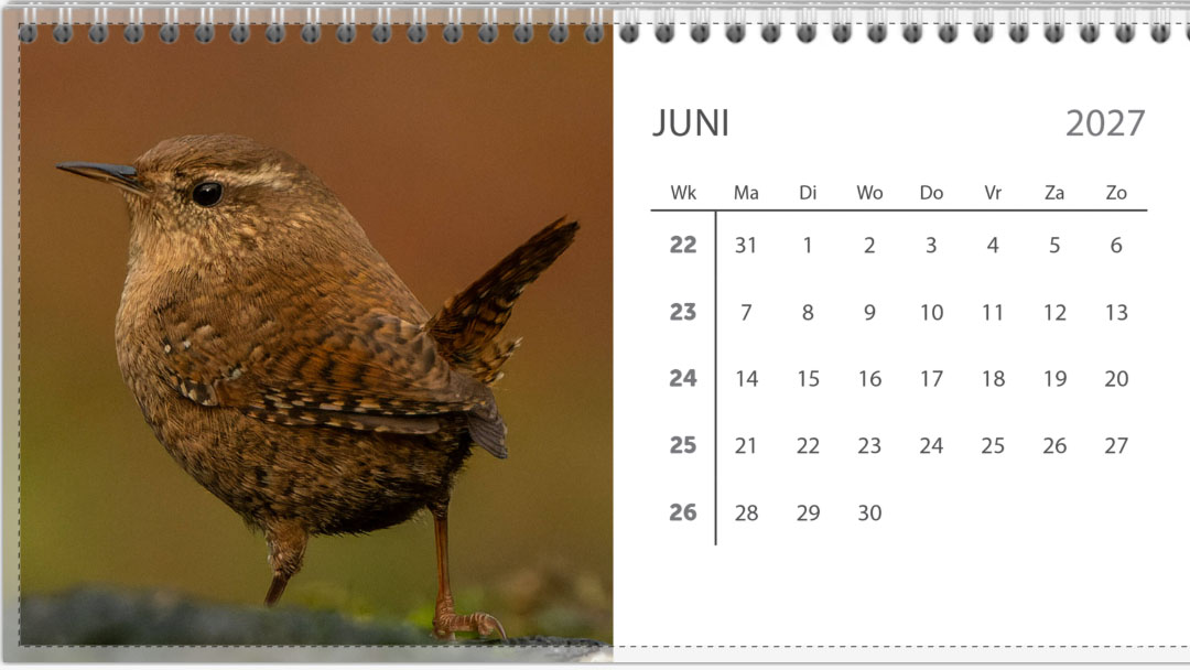 Bureau jaarkalender 2027 - Afbeelding 7