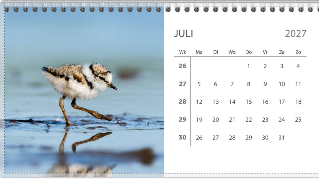 Bureau jaarkalender 2027 - Afbeelding 8