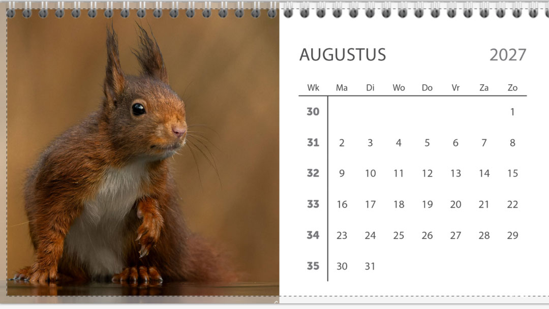 Bureau jaarkalender 2027 - Afbeelding 9