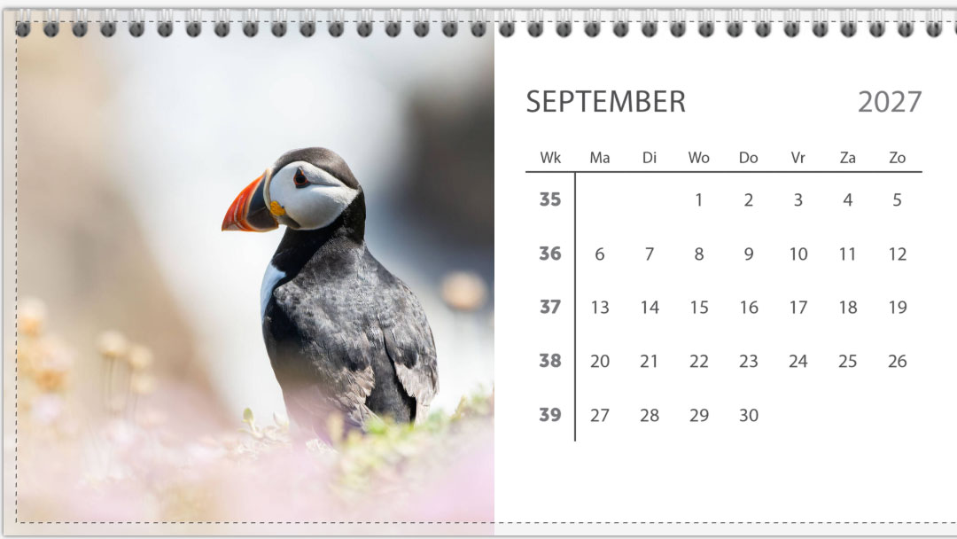 Bureau jaarkalender 2027 - Afbeelding 10